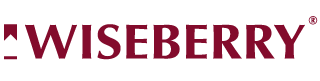 Digital Marketing Agency, Website Design & Development, Social Media Marketing, SEO Services for Real Estate Agents - Wiseberry