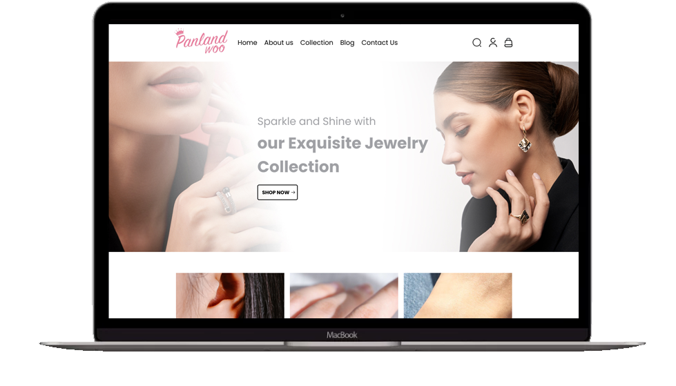 Website Development - Panlandwoo